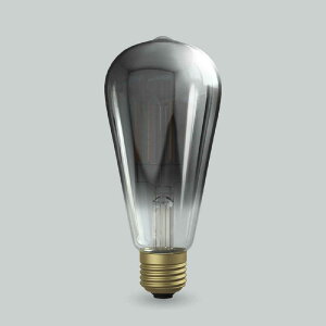 �r�[�g�\�j�b�N�@LED�d�� �G�W�\���@�u���b�N�N���A�[ Siphon LDF95D [E26 /20W���� /�d���F /1�� /�S�����^�C�v]�@LDF95D