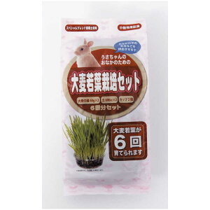 A^@p 唞t ͔|Zbg (6)