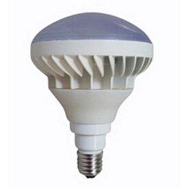 岩崎電気　LED屋外用レフランプ形電球 200W相当 電球色 口金：E26 ［E26 /ビームランプ形 /200W相当 /電球色 /1個］　LDR18L200-TM