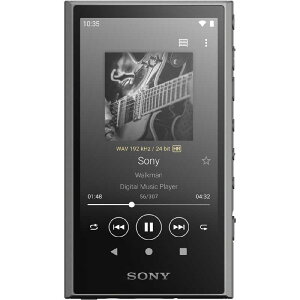 \j[@SONY@EH[N} WALKMAN AV[Y O[[64GB/2023Nf]@NW-A307 HC