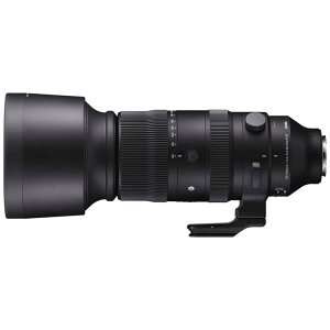 �V�O�}�@�J���������Y (���C�JSL/TL�p)�@Sports 60-600mm F4.5-6.3 DG DN OS