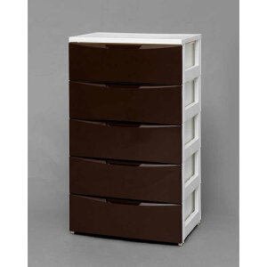 ACXI[}@IRIS OHYAMA@Ch`FXg 5i M[^Cv (zCg&uE/55×s41×99.5cm)