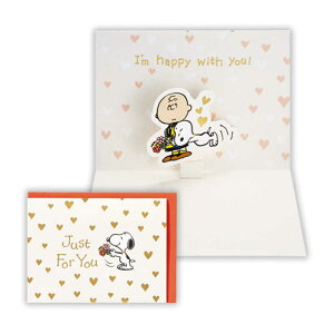 jzz[}[N@ړIJ[h Xk[s[S[hn[g2@EAR816643