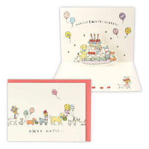 jzz[}[N@aJ[h ^Cj[ʂƃP[L2@EAR817138