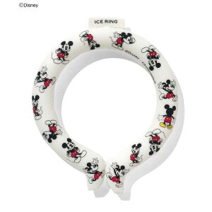 �G�t�I�[�C���^�[�i�V���i���@SUO �f�B�Y�j�[�L�����N�^�[ ICE RING(�L�b�Y) �A�C�{���[�@A3Y4152IVZZS