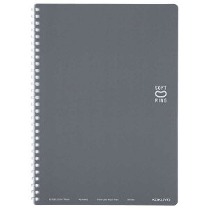 RN@\tgOm[g(hbgr B5)DM@XSV301BTDM