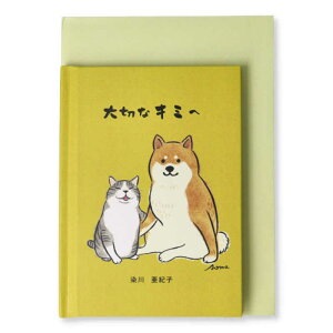 jzz[}[N@ړIJ[h G{؂ȃL~2@EAP816841