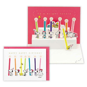 jzz[}[N@aJ[h Xk[s[ZƃC{[Lh2@EAR817251