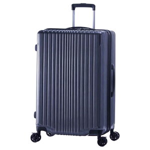 A.L.I�@�n�[�h�L�����[ FiL Pake �K�����^�u���b�V�� [TSA���b�N���� /71(+12)L]�@ALI-6060-24W