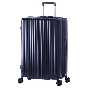 A.L.I@n[hL[ FiL Pake }bgubN [TSAbN /71(+12)L]@ALI-6060-24W