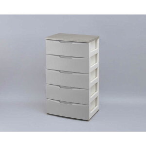 ACXI[}@IRIS OHYAMA@fUC Ebhgbv`FXg 5i M[^Cv (O[&AbVO[/56×s42×100cm)