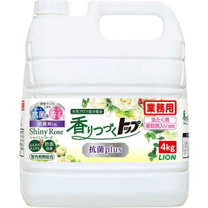 CInCW[@Âgbv Rplus 4kg