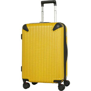 SPALDING�@�X�|���f�B���O �T�X�y���V���� �L�����[�P�[�X �C�G���[�J�[�{�� [TSA���b�N����]�@SP083656YEC