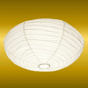 Z@LEDƖ V[OCg a 12  F {iaƖ-- Rt@GMB12180