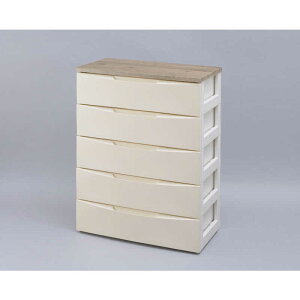 ACXI[}@IRIS OHYAMA@fUC Ebhgbv`FXg 5i Ch^Cv (AC{[&AbVuE/73×s42×100cm)