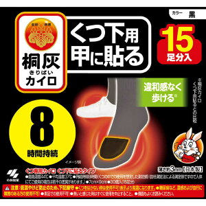 ѐ@ˊDJC p bɓ\  (15)