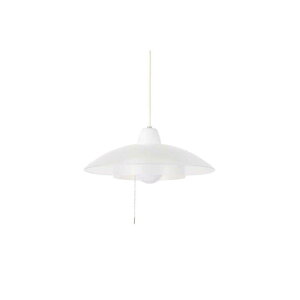 �X�����d��@LED�Ɩ� �y���_���g���C�g �z���C�g×�N���A�@PE-313CL