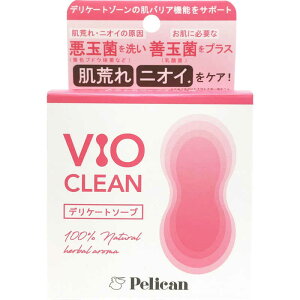 yJΌ@VIO CLEAN105g