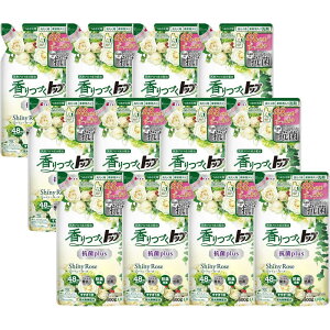 LION@(P[X̔)Âgbv Rplus Shiny Rose ߂p 500g×12