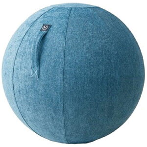 �A���C���R�@�o�����X�{�[�� �V�F���A(65cm/) ���C�����u���[�@MVS365