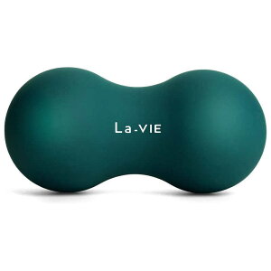 LAVIE@ fB[vO[@3B-4806