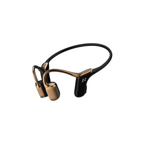 AVIOT@`Cz bronze gold [ }CN Ή / ` / Bluetooth ] @WB-E1-GL