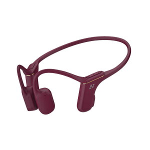 AVIOT@`Cz bh [ RE}CN Ή / lbNoh / Bluetooth ] @WB-P1-RD
