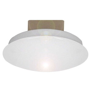 �X�����d��@LED���^�V�[�����O���C�g �����F �z���C�g�@CE-1000