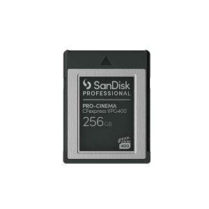 TfBXN@CfexpressJ[h Professional PROCINEMA VPG400 Type B (256GB)@SDPCVN4-256G-JNANN