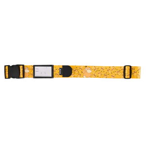 |P@POKEMON X[cP[Xxg sJ`E@POKEMON-SUITCASEBELT