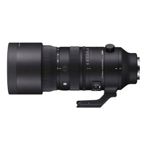�V�O�}�@�J���������Y (�\�j�[E�p/�t���T�C�Y�Ή�)�@Sports 70-200mm F2.8 DG DN OS