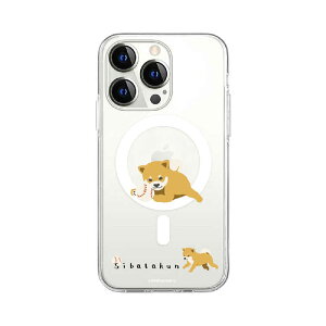 ROA�@iPhone 15 Pro(6.1�C���`) ���΂�����MagSafe�Ή��N���A�P�[�X abbi FRIENDS �{�[������Ă��ā@ABF25367i15PR
