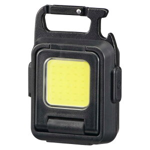 I[d@@RpNgCOBCgW700[ mLED /[d /hn@LH-CW70A5