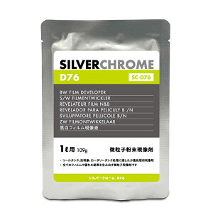 Oʐ^i@SILVERCHROME D76(t1Lp) Vo[N[@169020
