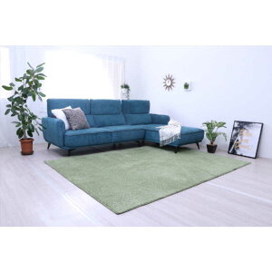 �C�P�q�R�@�^�t�g���~�b�N�X�p�C�����O �v���[�� (��185×185cm/�O���[��)
