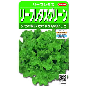 TJ^̃^l@ [t^XO[ [t^X@923673