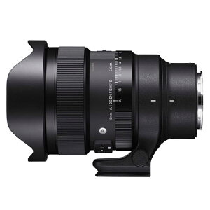 �V�O�}�@�J���������Y (���C�JSL/TL�p)�@Art 15mm F1.4 DG DN DIAGONAL FISHEYE