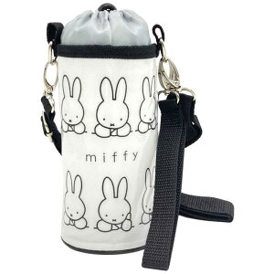 XP[^[@Giybg{gP[X ~btB[21@PVPC6