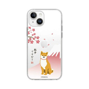 ROA�@iPhone 15(6.1�C���`) ���΂����� �\�t�g�N���A�P�[�X abbi FRIENDS ������@ABF25354i15