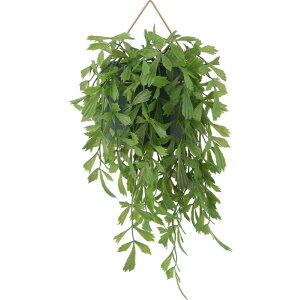 sfՁ@tFCNO[ NWNV nMO@41124