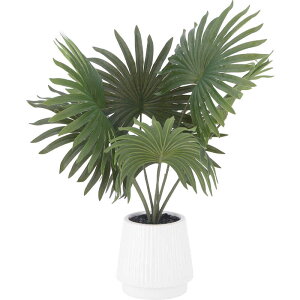 sfՁ@tFCNO[ pi}\E Z~bN|bg@41129