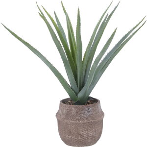 sfՁ@tFCNO[ AG M Zg|bg@41136