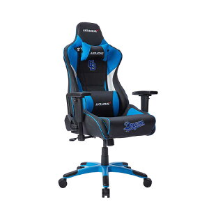 AKRACING@Q[~O`FA@PRO-X/BLUE/DRAGONS