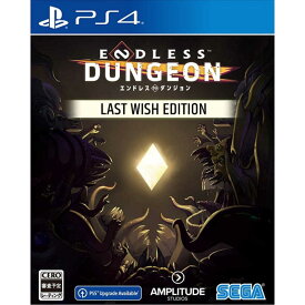 セガゲームス　PS4ゲームソフト ENDLESS Dungeon