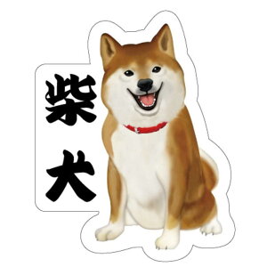 MfUCt@Ng[@MfUC _CJbgV[ Č@ST058