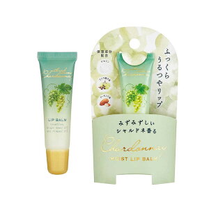 O[ov_NgvjO@CXgbvo[ (Vhl)