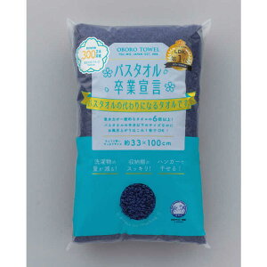 {^I@oX^IƐ錾 IDG(CfBS) IDGiCfBSj@IDGCfBS