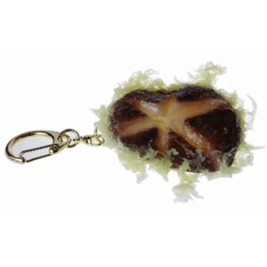 uTv@El̍HiTv L[`F[ VՂ @SIGA53284