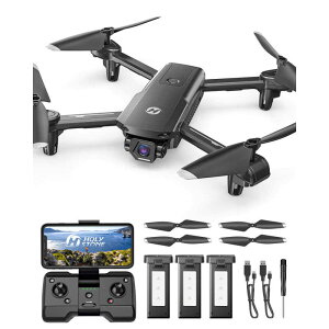 HOLYSTONE@h[ 100g Jt O ^@HS155