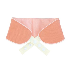 ���h���i�@�A�C�X�J���[ hieru�@RX42-ICL-PK